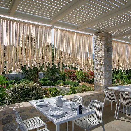 Bassa Maina & 4* Areopoli